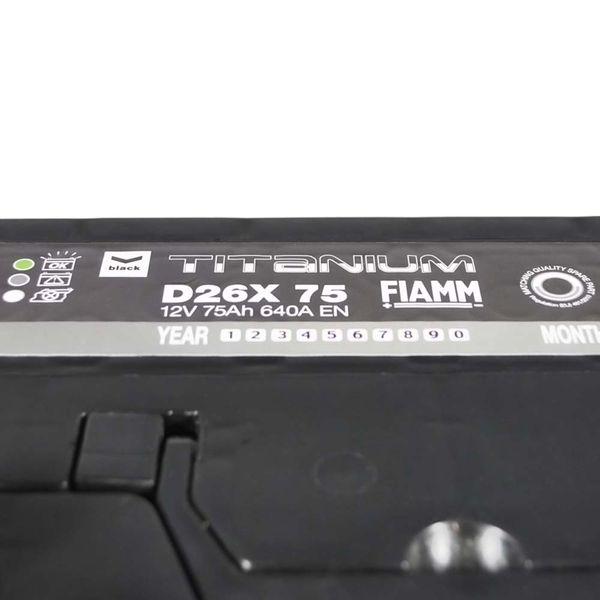 Автомобільний акумулятор FIAMM Titanium Black Asia 75Аh 640А L+ (лівий +) D26 564958893604 фото