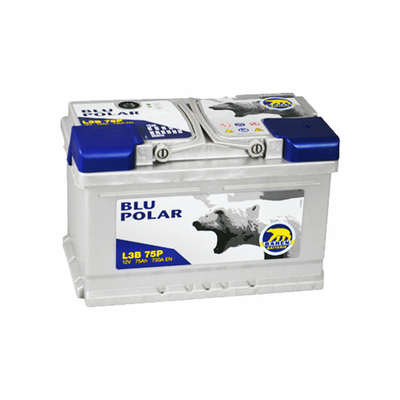 Автомобильный аккумулятор BAREN Blu polar 75Аh 730А R+ (правый +) 566615479209 фото
