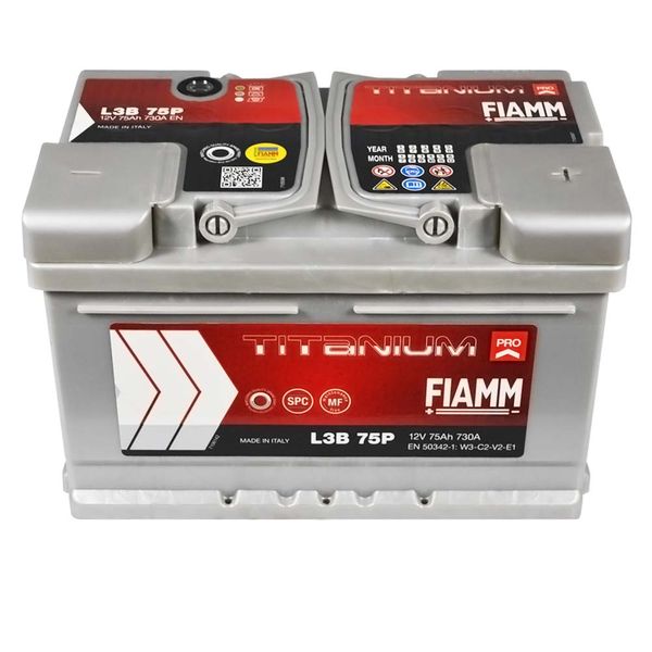 Автомобільний акумулятор FIAMM Titanium Pro 75Аh 730А R+ (правий +) 564958885846 фото
