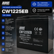 Тяговая аккумуляторная батарея (GEL+Graphene) CHILWEE CW1225EB 12V25Ah 10224521 фото 5